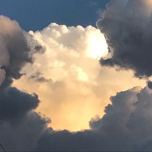 Meet your Posher, Anne